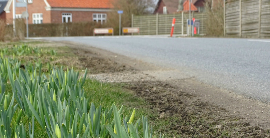 Landdistriktsrådet støtter Lem og Højmark